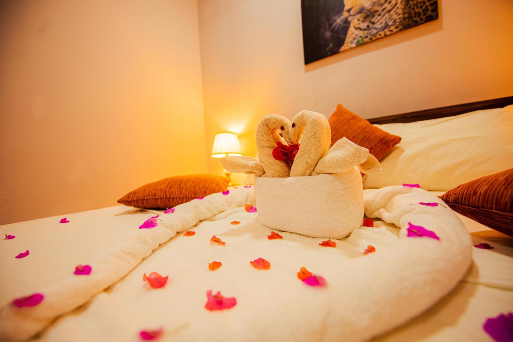 C B S Resort Udawalawe Ngoại thất bức ảnh